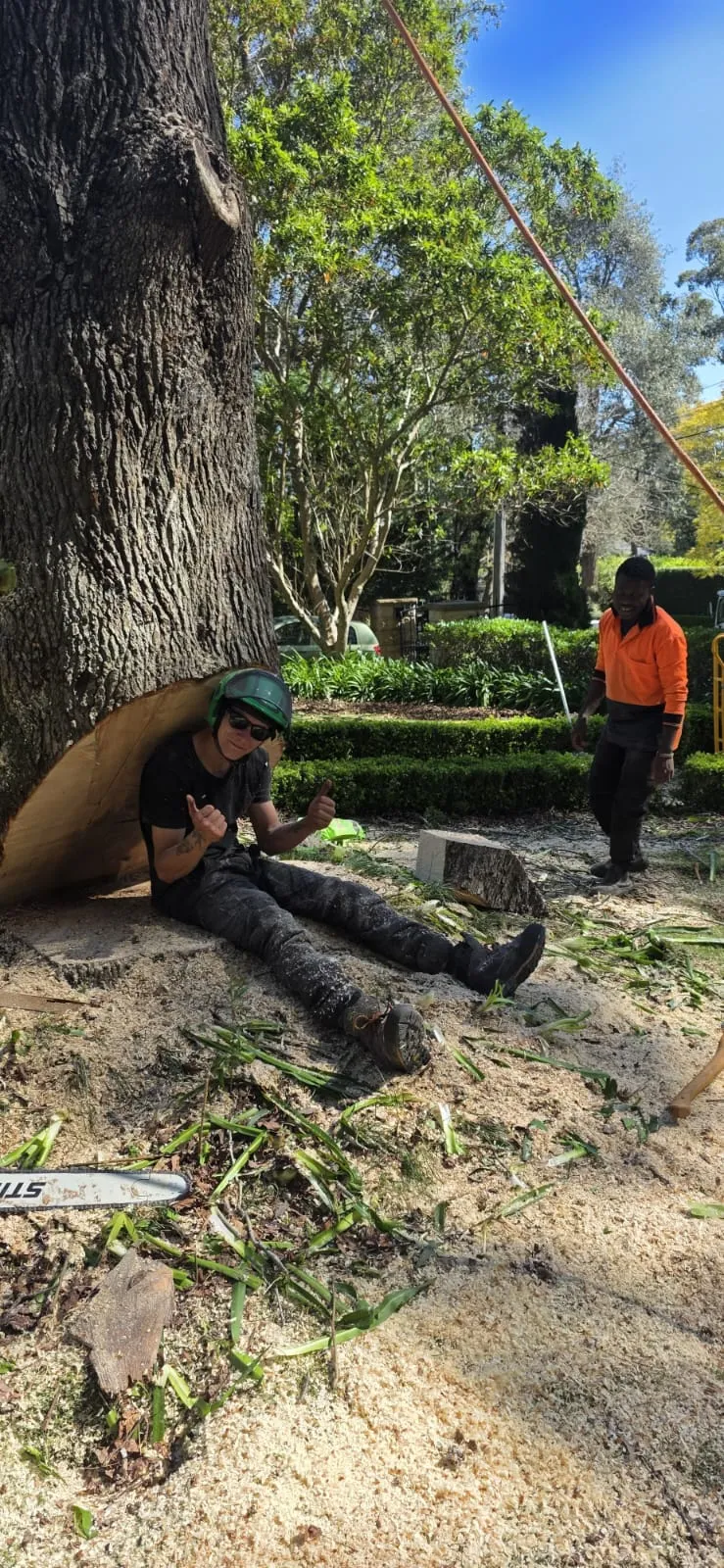Arborist leaning against a felled tree in Tallebudgera