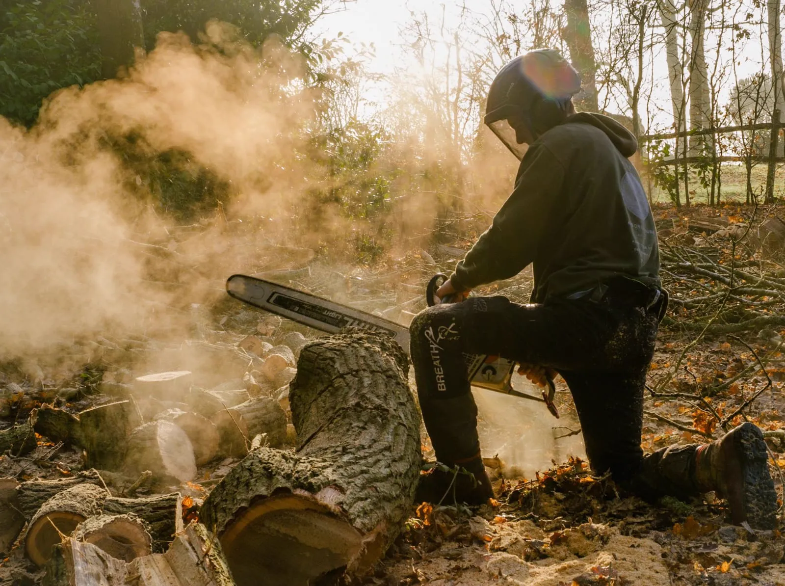 Arborist sectioning felled tree trunk with chainsaw on the ground in Logan, Brisbane QLD