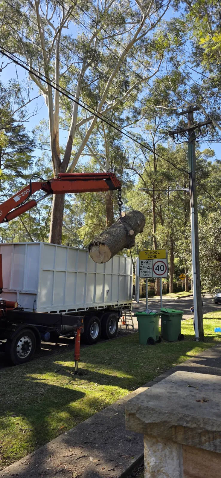 Crane truck removing tree near Tweed Heads