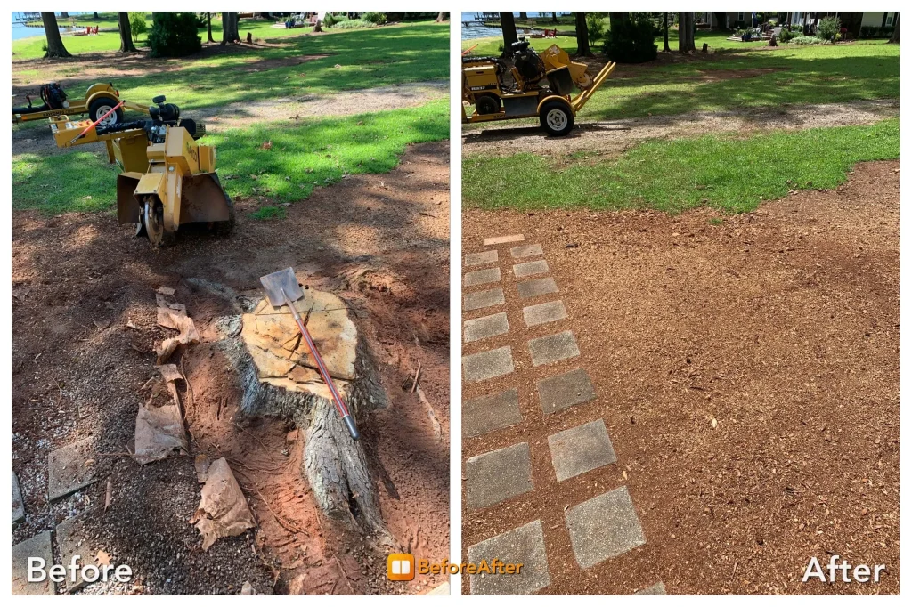 Before and after stump grinding showing complete below-ground removal with professional equipment on Gold Coast property